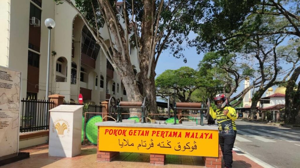 Pokok Getah Pertama Malaya tempat menarik di kuala kangsar