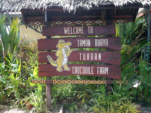 Tuaran Crocodile Farm sebagai tempat menarik di kota kinabalu