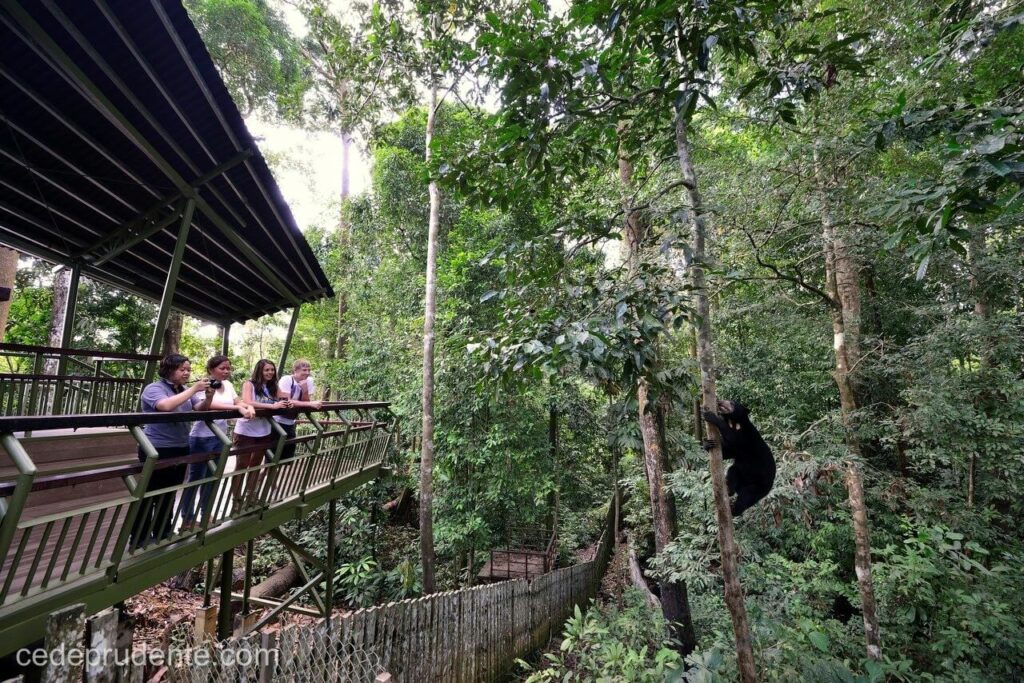 tempat menarik di sandakan