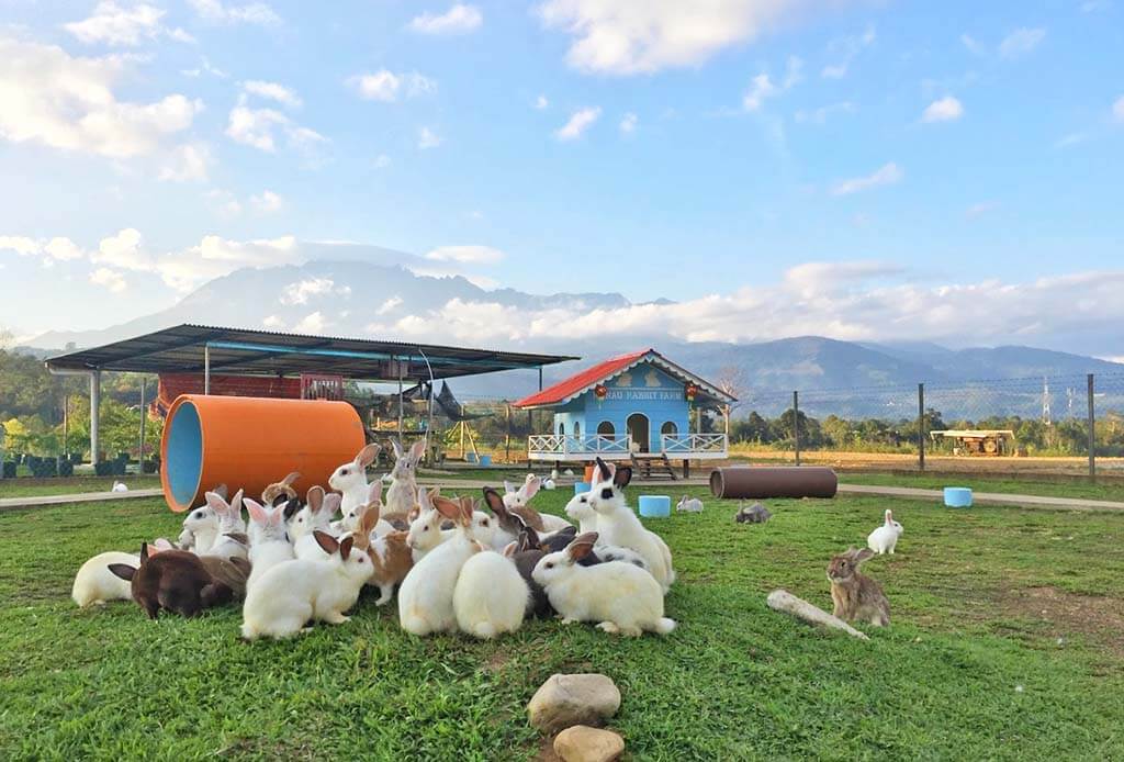 tempat menarik di ranau