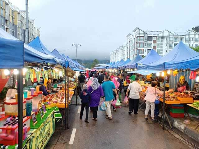 tempat menarik di cameron highland